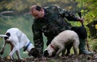 01/11/2013 - TUTTI A CACCIA DI TARTUFO!!