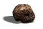 Tartufo Nero pregiato ( Tuber Melanosporum Vitt.)