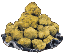 truffels