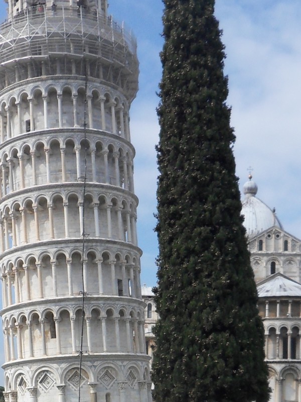 piazza dei miracoli
