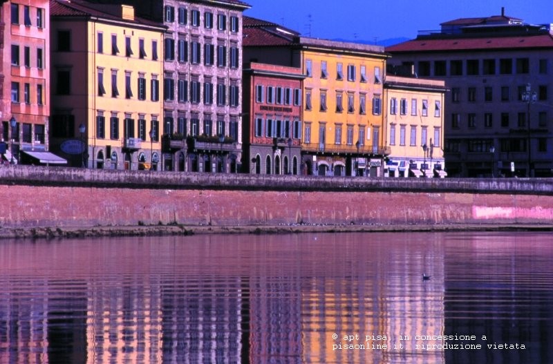pisa