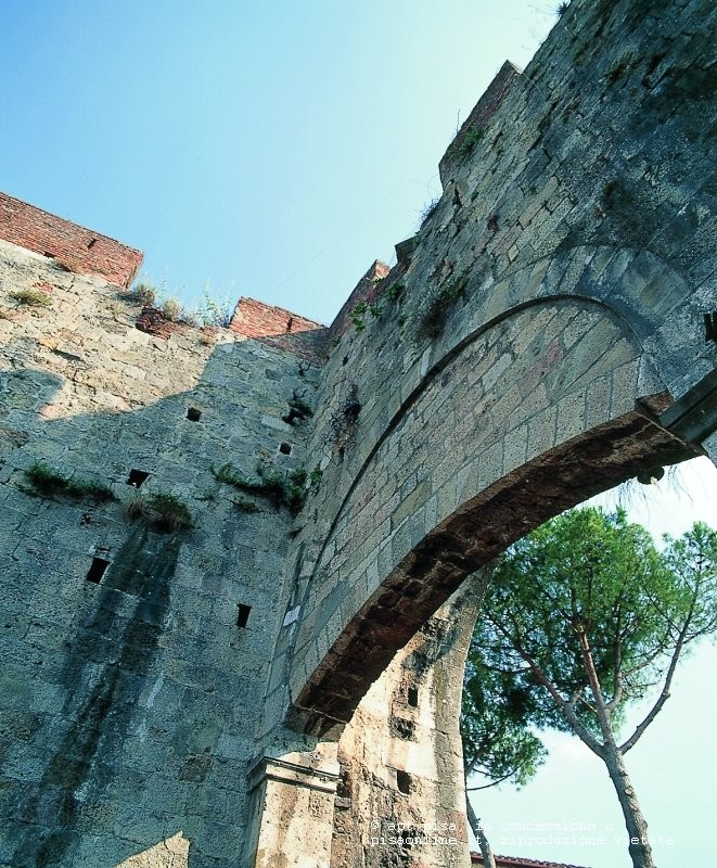 pisa
