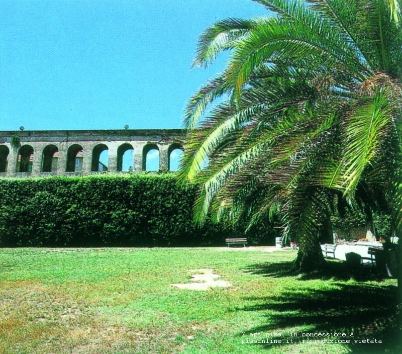pisa