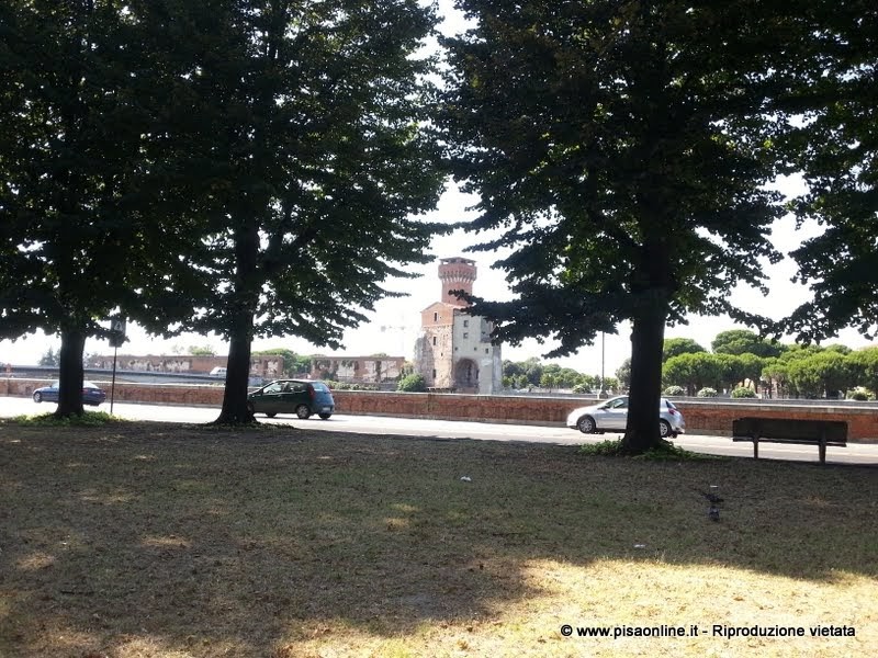 pisa