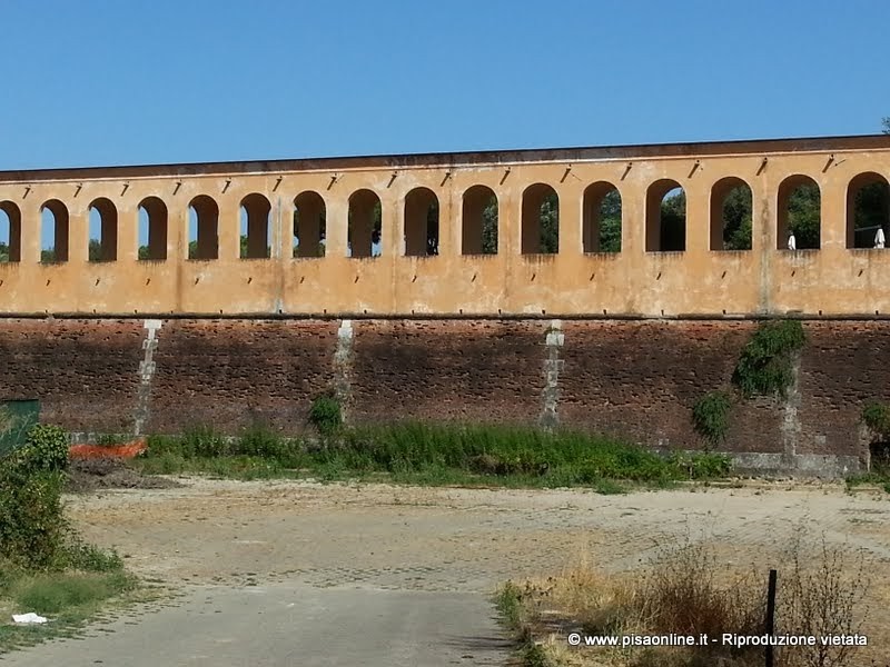 pisa