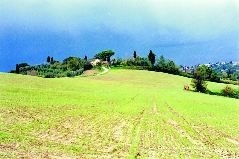 valdarno