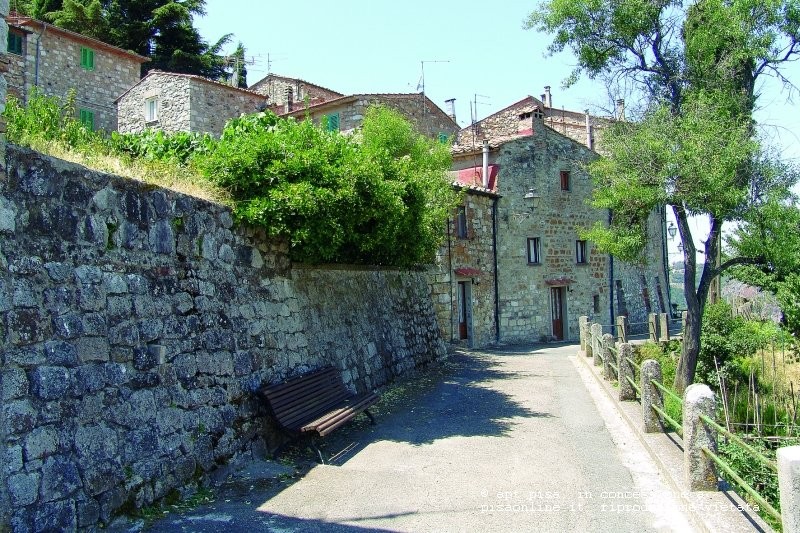 valdicecina