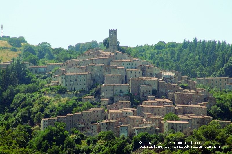 valdicecina
