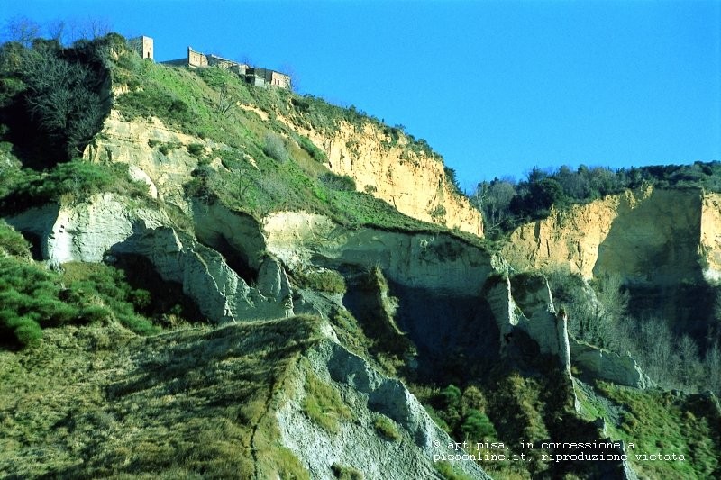 valdicecina
