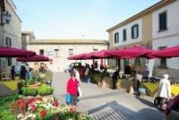VOLTERRA FIORITA