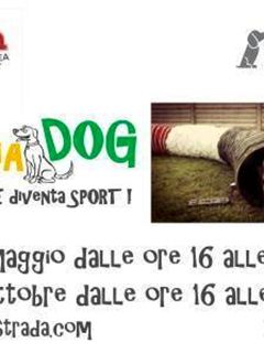 Olimpiadog:l'educazione diventa sport