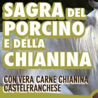 Sagra del porcino a Castelfranco di Sotto