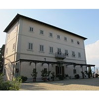Festa del glicine a Villa Bardini a Firenze