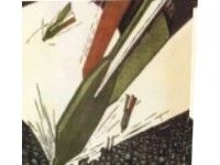 Pisa 1915-1918: una città nel primo conflitto mondiale