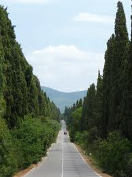 BOLGHERI