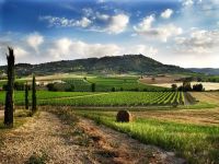 DCOUVERTE VAL D'ORCIA