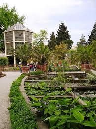 Ortobotanico Pisa