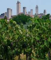 Necropoli di Cellole a San Gimignano