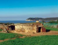 BARATTI E POPULONIA