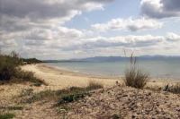 SPIAGGE VICINO RIPARBELLA