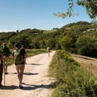 Via Francigena Toscana