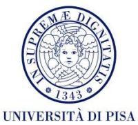 Universit Pisa, eccellenza nella ricerca