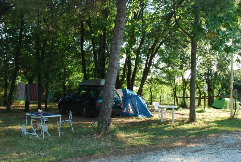  TORRE PENDENTE Camping Village